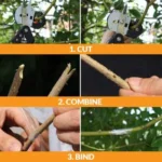 Professional Grafting & Pruning Tool - Image 5