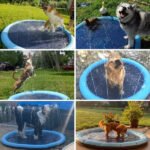 Kids & Dog Anti-Slip Splash Pad Water Sprinkler - Dog Paddling Pool - Image 6