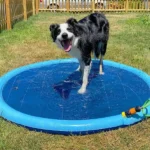 Kids & Dog Anti-Slip Splash Pad Water Sprinkler - Dog Paddling Pool - Image 5