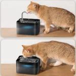 2.2L Black Cat Water Fountain 2.2L - Ultra-Silent with Quadruple Filtration & LED